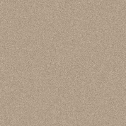 Soft Beige Carpet