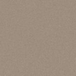 Taupe Carpet
